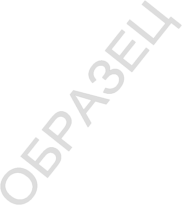 ОБРАЗЕЦ