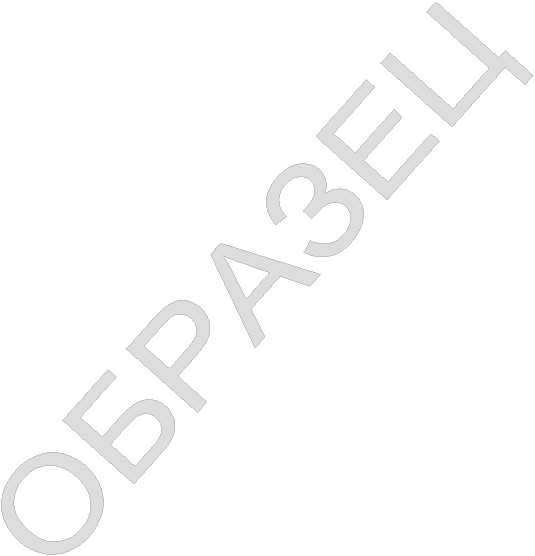 ОБРАЗЕЦ