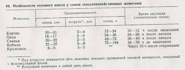 сканирование0041
