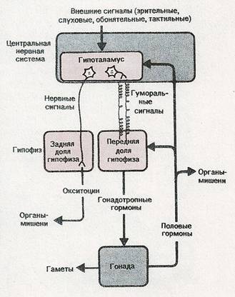сканирование0047