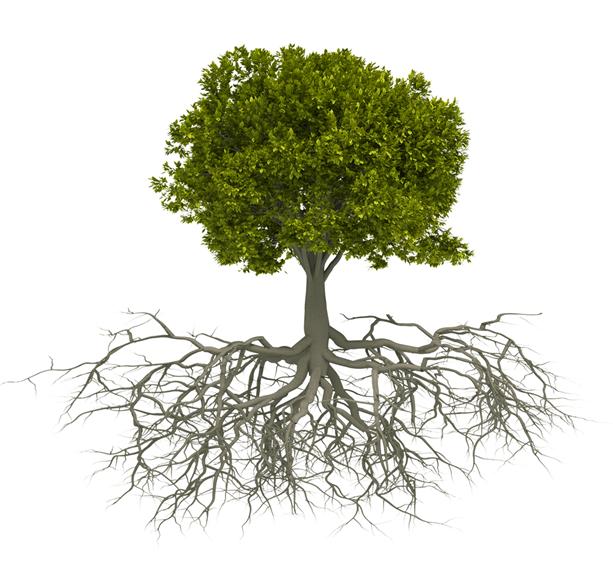 shutterstock_65729302