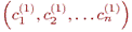 \left( c_1^{(1)}, c_2^{(1)}, \ldots c_n^{(1)} \right)