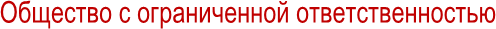 Общество с ограниченной ответственностью