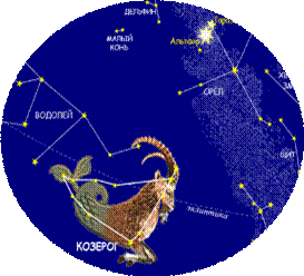 C:\Users\Samsung\Desktop\Документы Ани\kozerog_1.gif