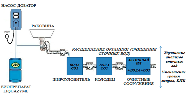 ochistka