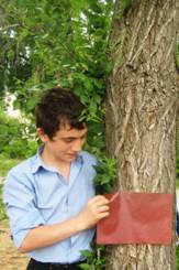 F:\DCIM\100CANON\6-� ������\IMG_7989.JPG