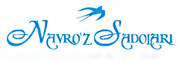 NS logo