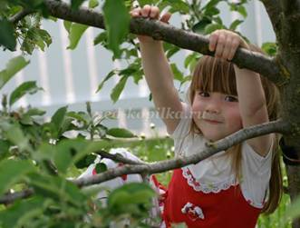 http://ped-kopilka.ru/upload/blogs2/2016/8/38022_b115b9fc20230c508b0cc8c1deecd5a4.jpg.jpg