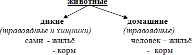 http://festival.1september.ru/articles/632171/01.gif