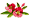 ��������: ��������: http://kindergenii.ru/images/flower.gif