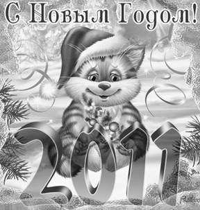� ����� 2011 �����!