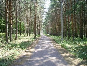 ��������: C:\Users\1\Desktop\560px-Biathlon_trail_in_Ishimbay,_Russia.jpg