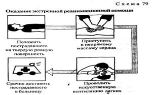 https://im3-tub-by.yandex.net/i?id=b407eb9333dd86f7fbf954d839327eb1-l&n=13