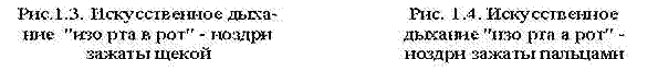 wpe8.jpg (9278 bytes)