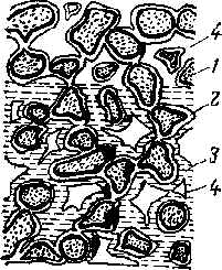 wpe63.jpg (19990 bytes)