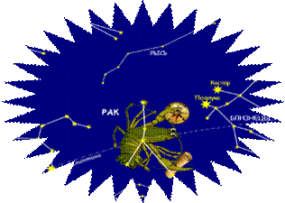 C:\Users\Samsung\Desktop\Документы Ани\rak_1.gif