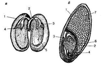 http://sbio.info/images/tmp55-30.jpg