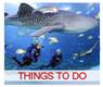 http://www.atlantameetings.com/minisites_shared/images/homepage/fun.jpg