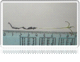 C:\Documents and Settings\�����\������� ����\����� �����\SAM_0452.JPG