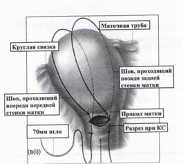 C:\Users\�������\Pictures\2014-06-11\004.jpg