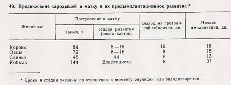 сканирование0056