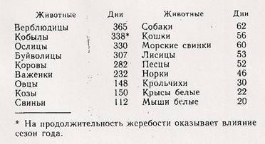 сканирование0062