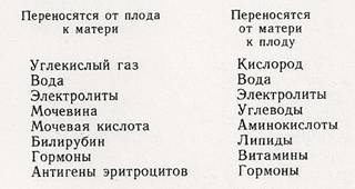 сканирование0059