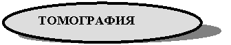 ����: ����������