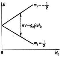 5137-34.jpg"