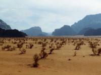 Wadi Rum, Jordanien