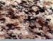 Granite specimen