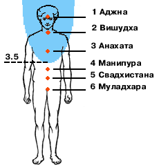 Ocenka.gif (8351 bytes)