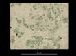 image: specimen_image/156/156-1626_2.jpg