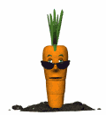 http://rad.21308s27.edusite.ru/images/060.gif