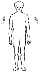 Picture1.gif