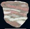 image: specimen_image/322/322-170.jpg