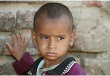 http://www.who.int/entity/childmedicines/KID_MOSQUITO.JPG