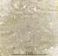 image: specimen_image/311/311-121_2.jpg