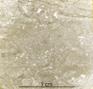 image: specimen_image/311/311-121_2.jpg