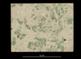image: specimen_image/156/156-1626_2.jpg