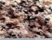 Granite specimen