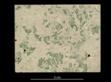 image: specimen_image/156/156-1626_2.jpg