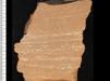 image: specimen_image/465/465-5.jpg