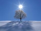 http://img0.liveinternet.ru/images/attach/c/0/119/287/119287118_5642034_kholodnoe_solnce2.jpg