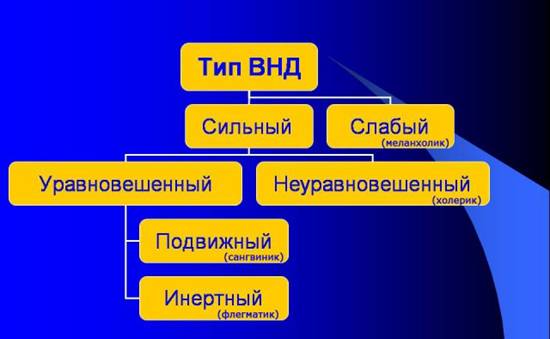 http://pics.livejournal.com/anchiktigra/pic/0048q06w/s640x480