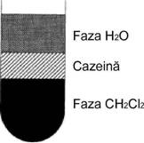 Faza H2OCazeinaFaza CH2Cl2