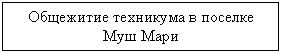 Подпись: Общежитие техникума в поселке Муш Мари