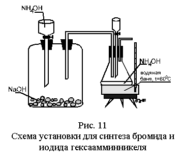 �������:
