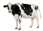 66_0[1]