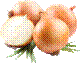 HQMJ8JCA7H6JRKCA9J6TP9CA7BU18ACA53QF7OCAQF0HGLCAI0E9LMCAV9TFYLCANWKKDHCA7RIDH0CAFZH1V2CAMIWB74CAJZ6UPFCA0YAHZ2CATV6KGQCAT6YLG3CA6IBDBPCAU3RXRXCANG8D5ECA8ONR8O